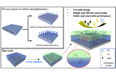 Constructing Versatile Hydrophilic Surfaces via in-situ Aminolysis 2011-3196